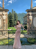 Gorgeous Halter Neck Sheath Evening Dresses Tulle Backless Prom Dresses Light Pink Formal Dresses HZ1121